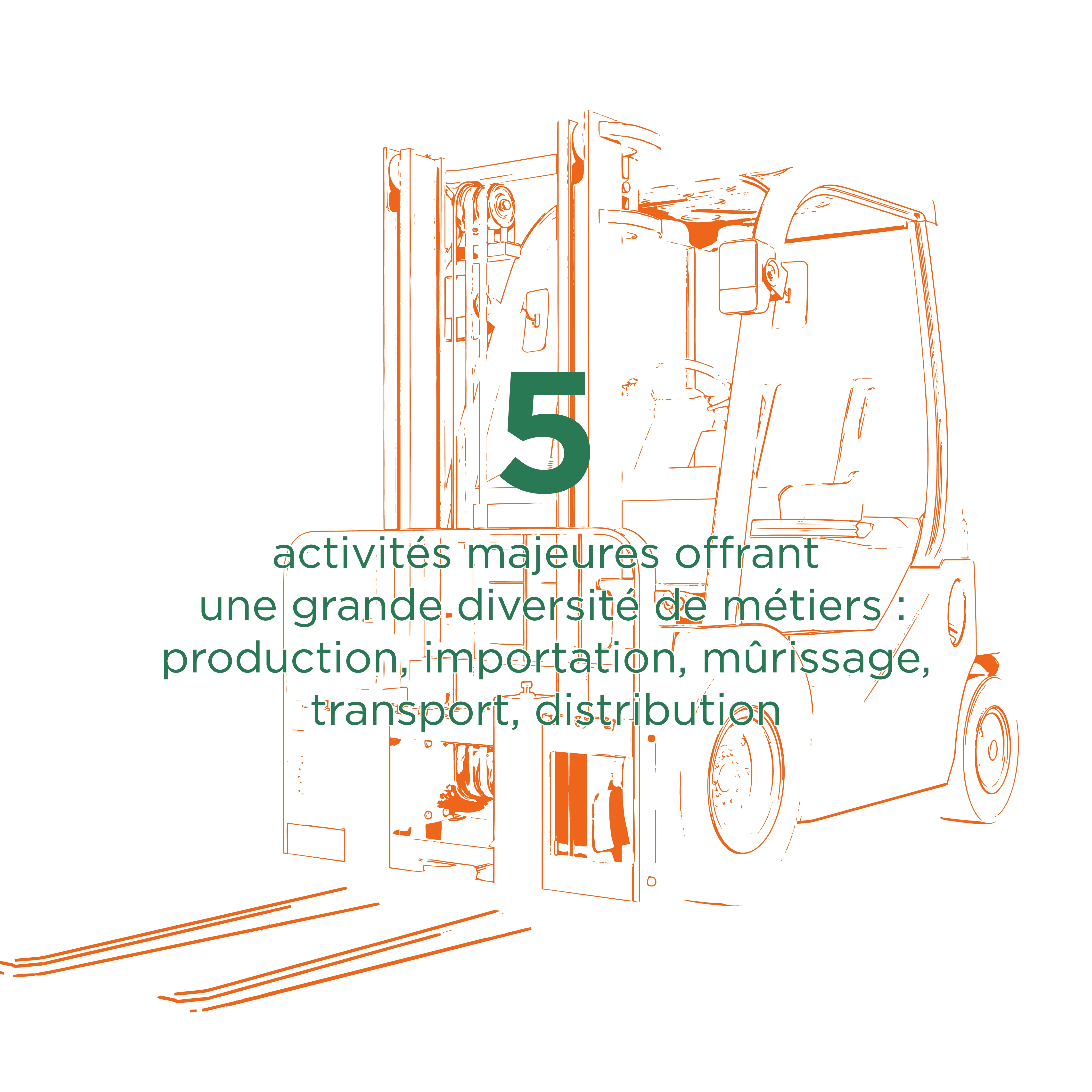 Activités majeures